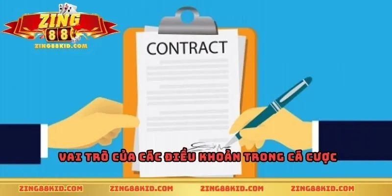 Vai trò của các điều khoản trong cá cược trực tuyến