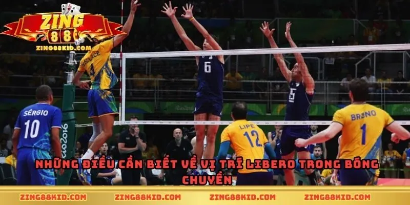 Những điều cần biết về vị trí Libero trong bóng chuyền