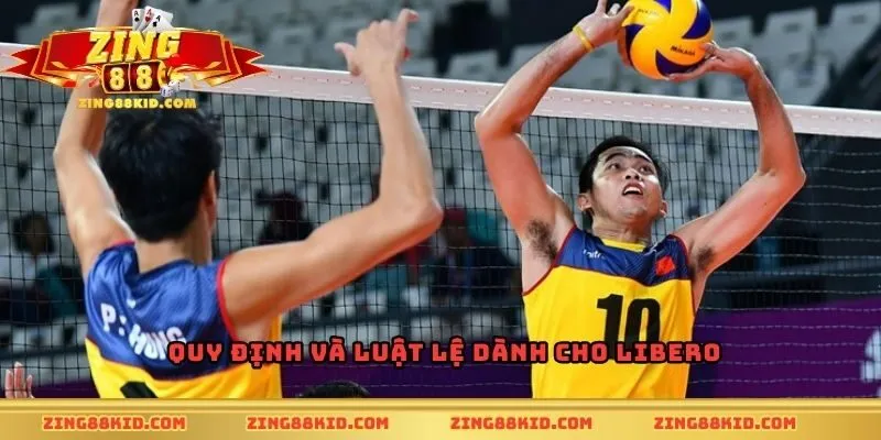 Quy định và luật lệ dành cho Libero