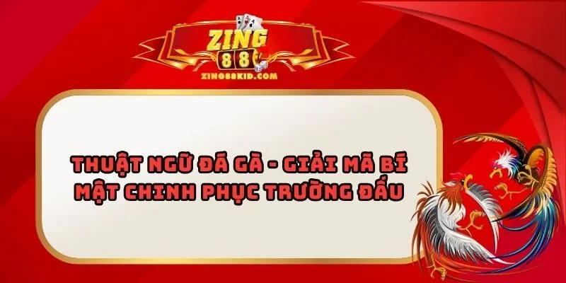 Thuật Ngữ Đá Gà - Giải Mã Bí Mật Chinh Phục Trường Đấu