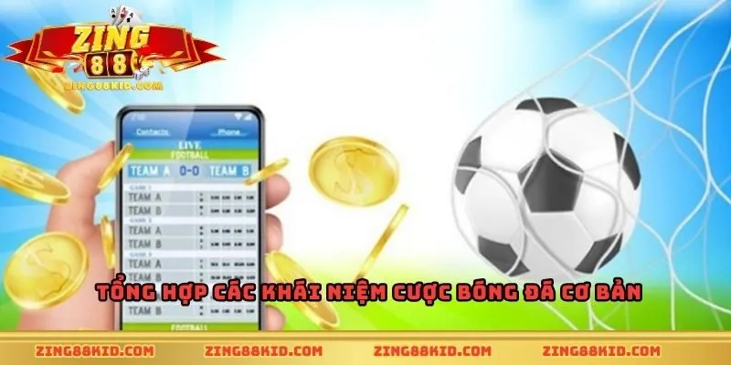 Tổng hợp các khái niệm cược bóng đá cơ bản