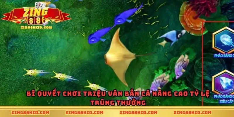 Bí quyết chơi Triệu Vân Bắn Cá nâng cao tỷ lệ trúng thưởng