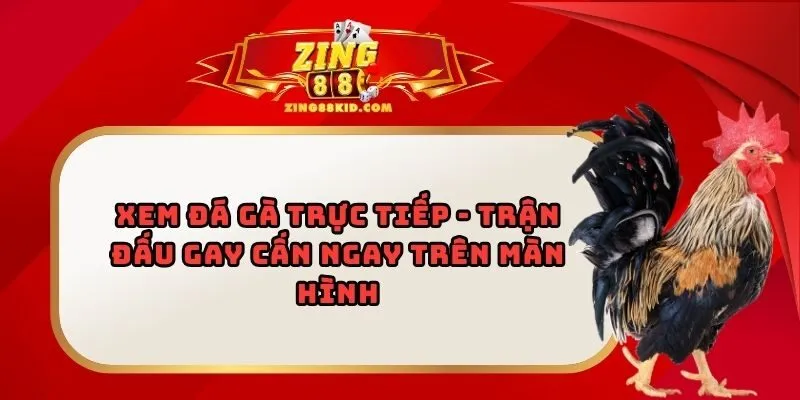 Đá Gà Cựa Sắt – Nắm Vững Kỹ Thuật Để Làm Chủ Mọi Cuộc Đấu