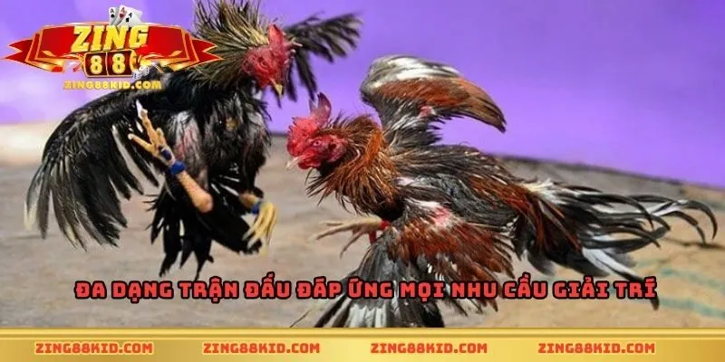 Đa dạng trận đấu đáp ứng mọi nhu cầu giải trí